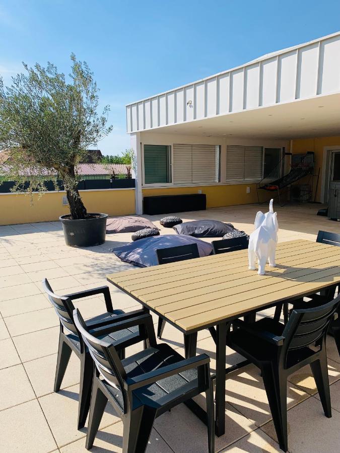 La Terrasse Du Parc Apartment Marckolsheim Luaran gambar