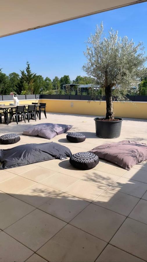 La Terrasse Du Parc Apartment Marckolsheim Luaran gambar